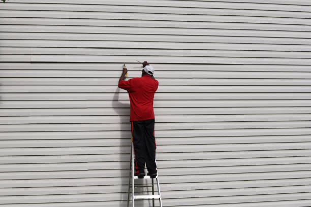 Best Aluminum Siding Installation  in Keene, NH